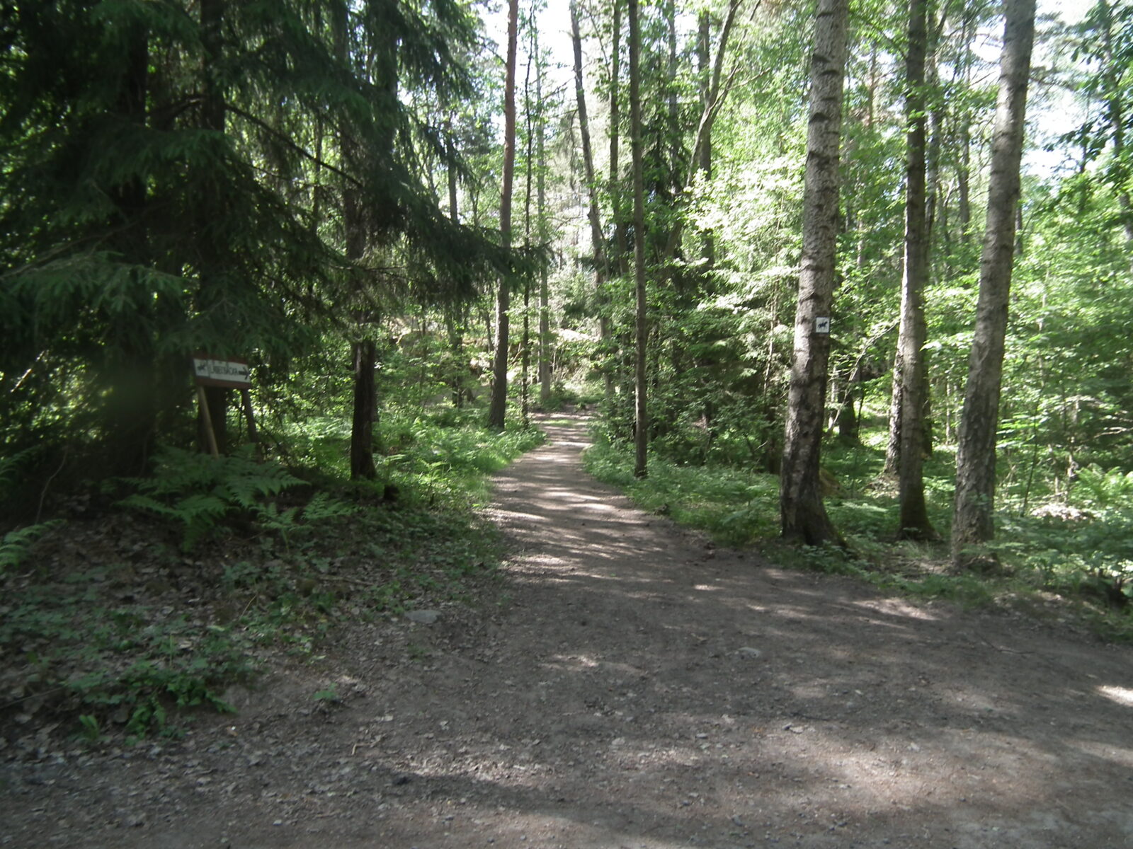 Naturen nära i Järvastaden